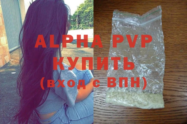 прущие грибы Каменка