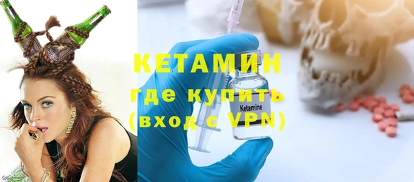 прущие грибы Каменка