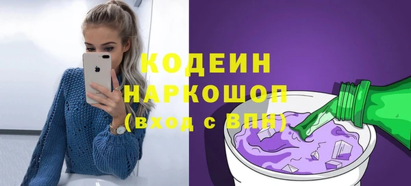 прущие грибы Каменка