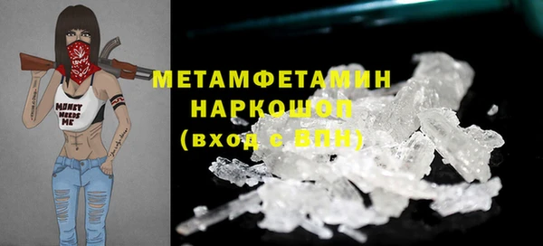 прущие грибы Каменка