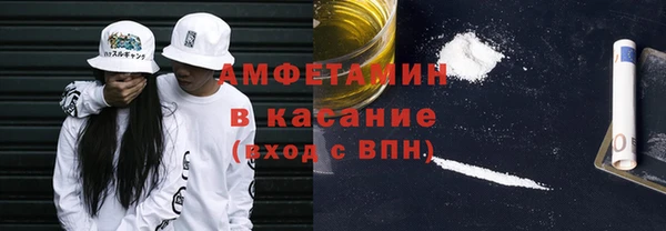 прущие грибы Каменка