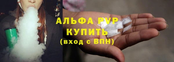 прущие грибы Каменка