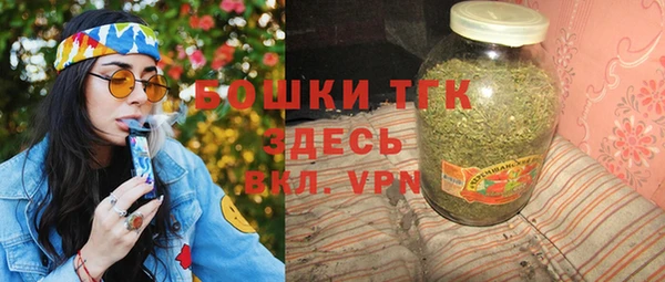 прущие грибы Каменка
