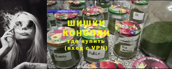 прущие грибы Каменка