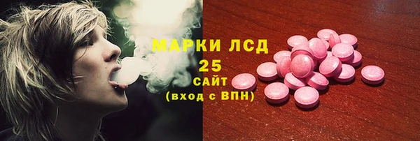 прущие грибы Каменка