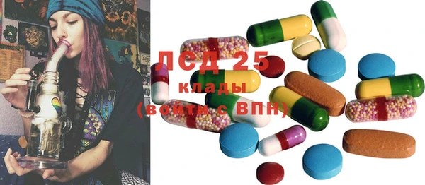 прущие грибы Каменка