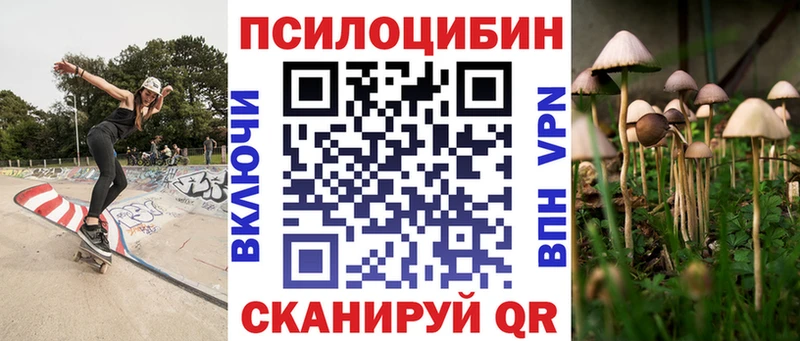 Купить закладки  Дудинка  Галлюциногенные грибы GOLDEN TEACHER 